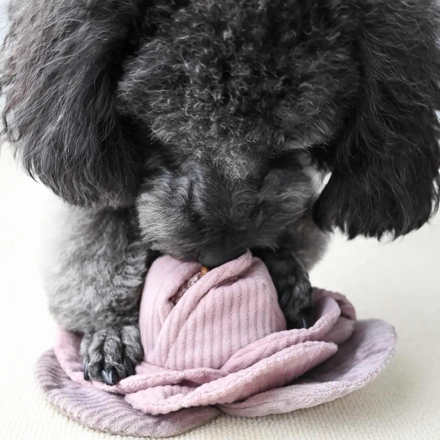 JOUET POUR CHIEN CABBAGE POP ENRICHISSEMENT - Toutoustore