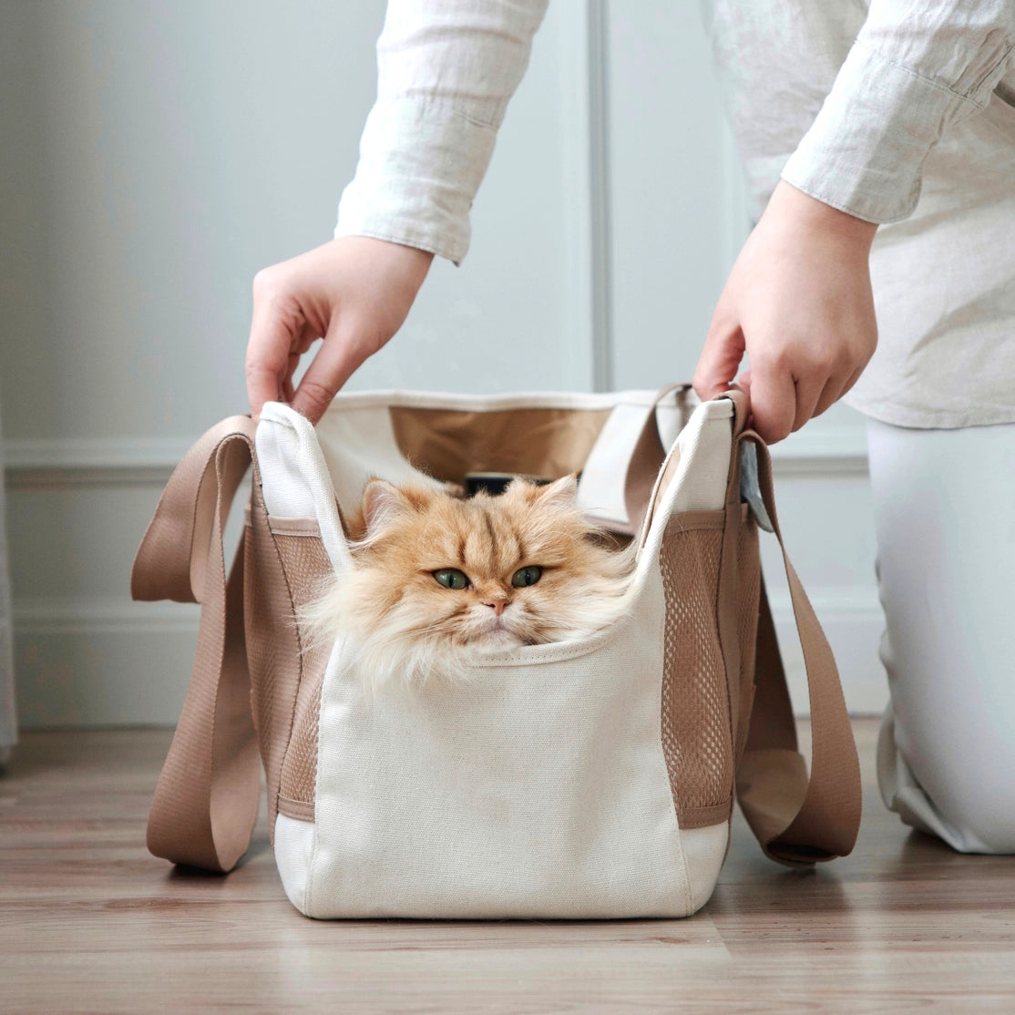 TRANSPORTEUR DE MÉTRO - Toutoustore
