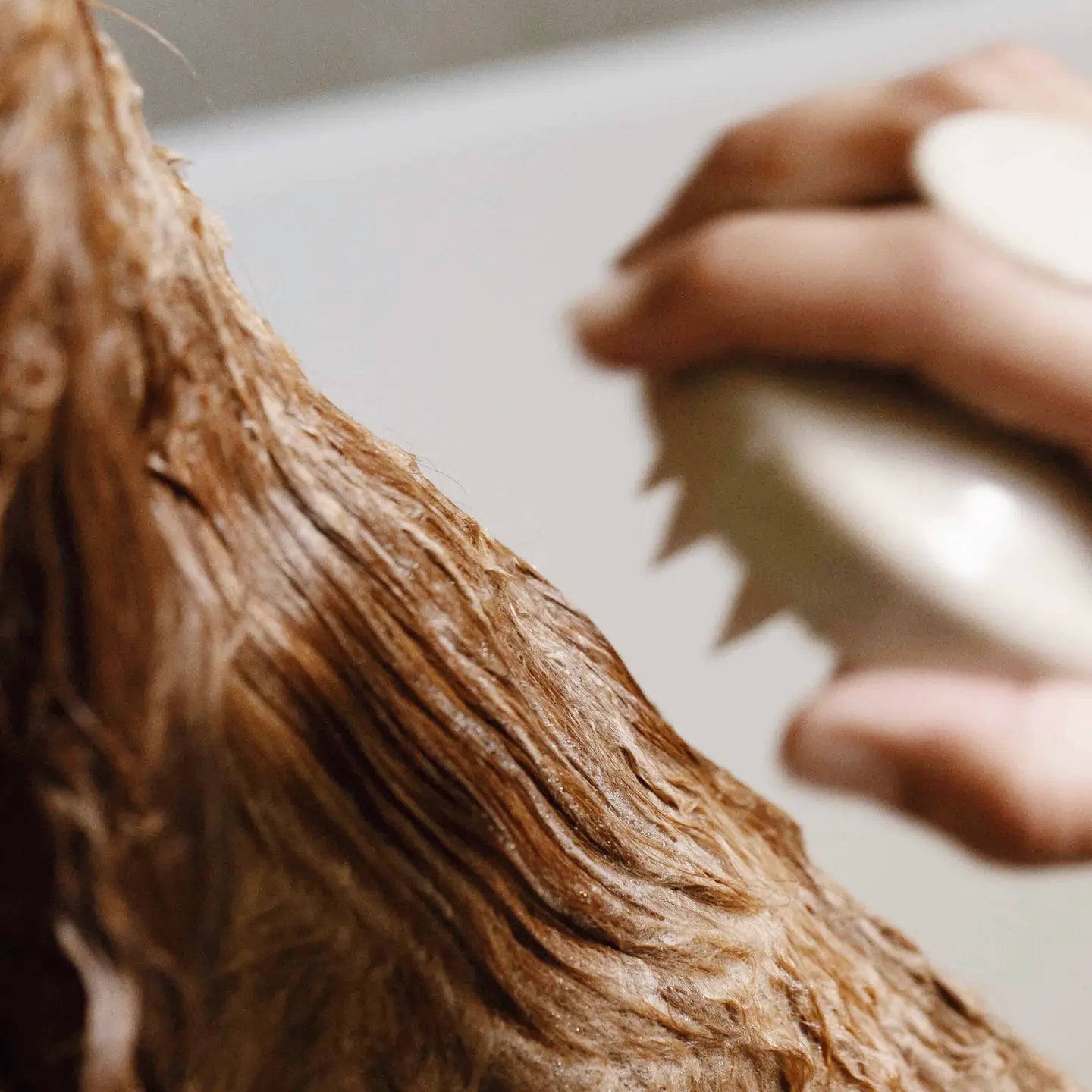 Brosse pour la douche - Toutoustore