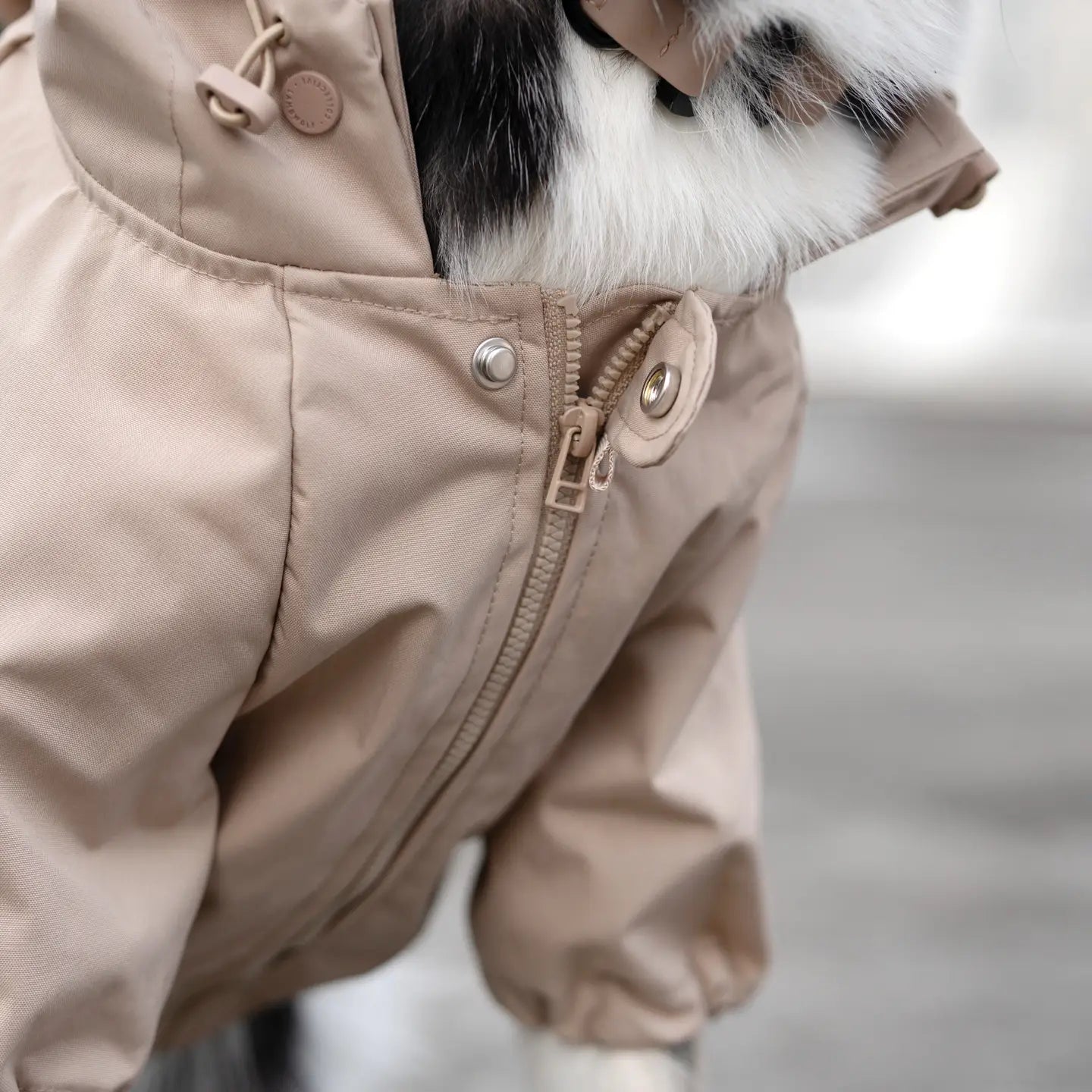BROOKLYN KWAY POUR CHIEN - Toutoustore