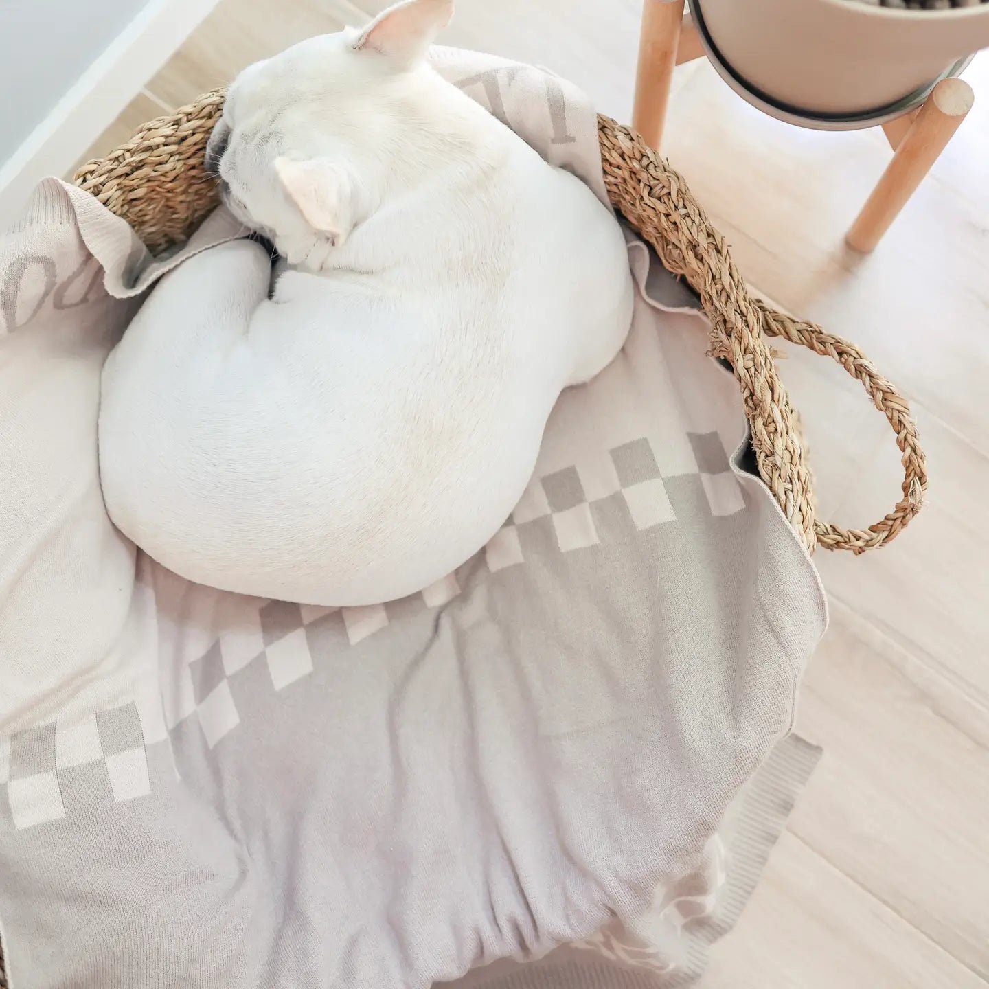 COUVERTURE LET DOGS BE DOGS - Toutoustore