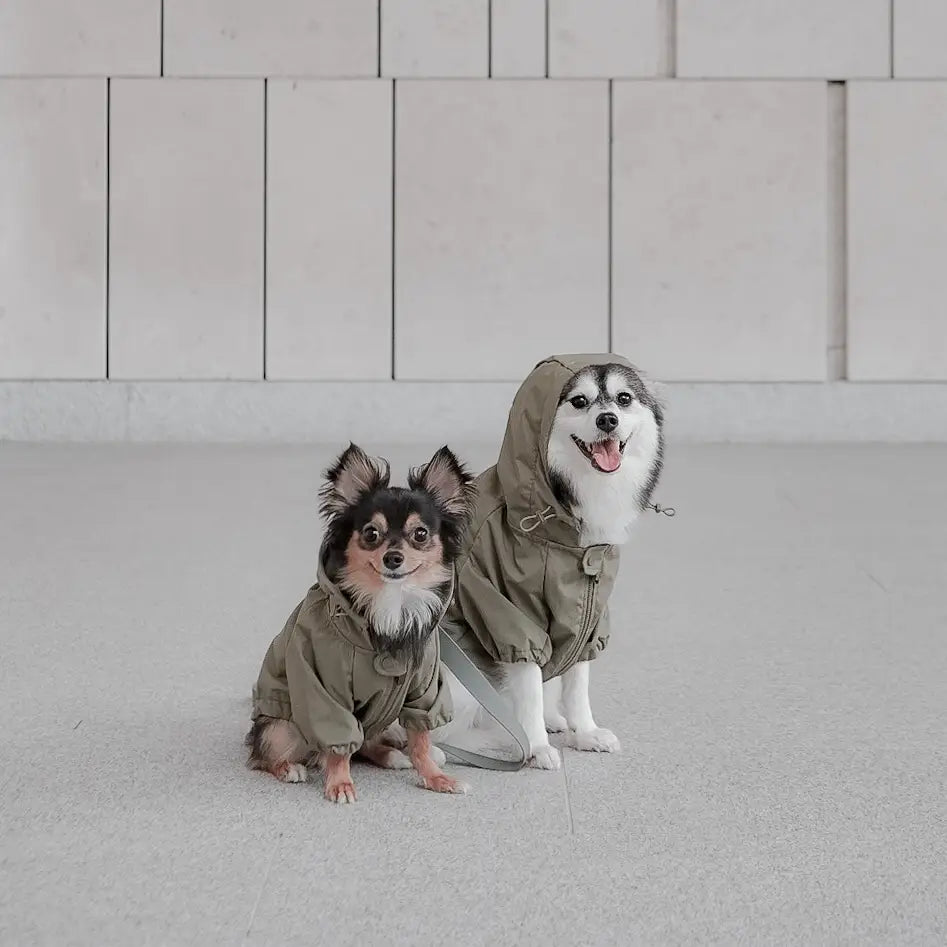 BROOKLYN KWAY POUR CHIEN - Toutoustore