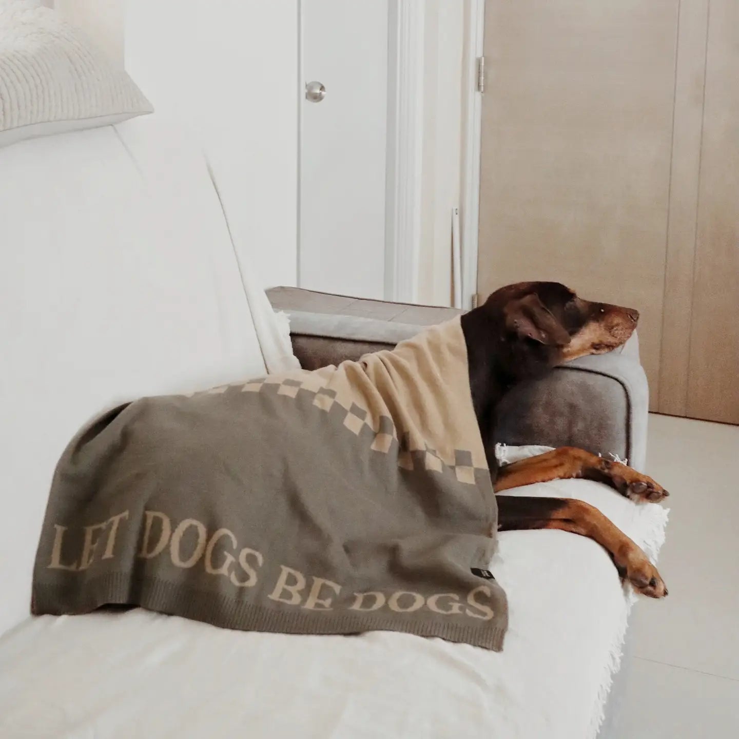 COUVERTURE LET DOGS BE DOGS - Toutoustore
