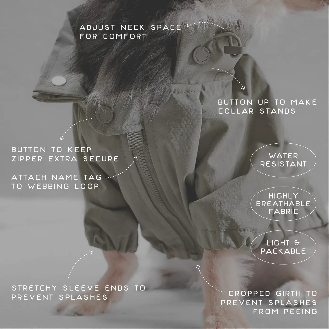 BROOKLYN KWAY POUR CHIEN - Toutoustore