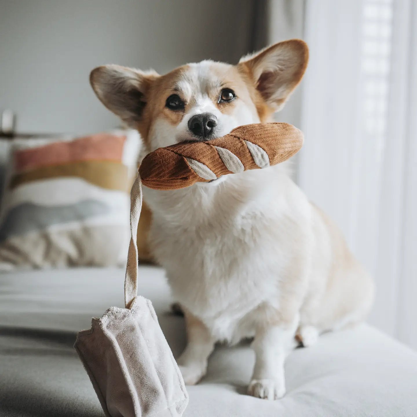 JOUET POUR CHIEN MINI-BAGUETTE - Toutoustore