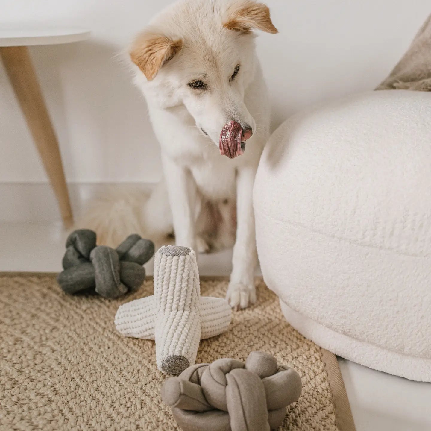NOU JOUET POUR CHIEN ANTHRACITE AVEC GRAPPES FROISSÉES - Toutoustore 